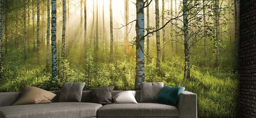 Xeikon Café Graphic Arts Edition 2022 Thumb